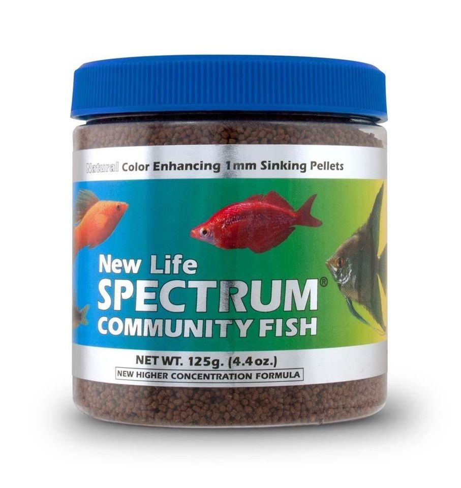 New Life Spectrum Community Fish